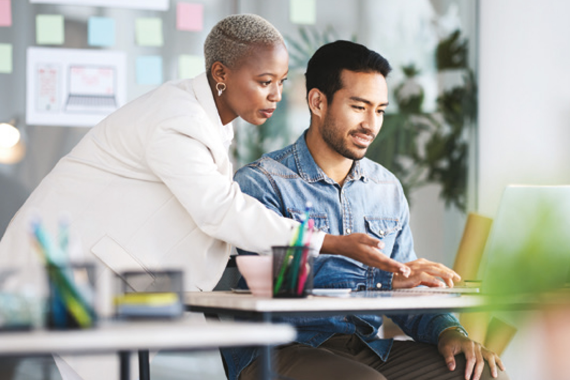 Consultation & Advisory